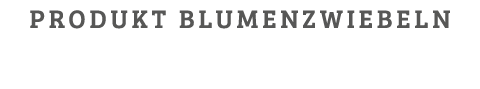 Produkt Blumenzwiebeln